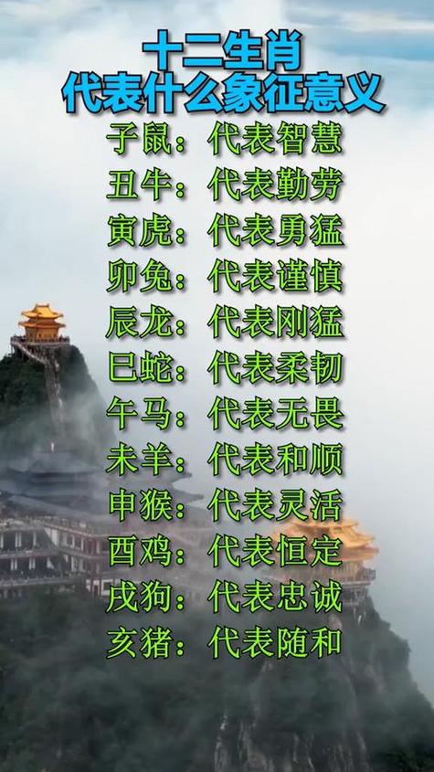 “时不我待”代表什么生肖