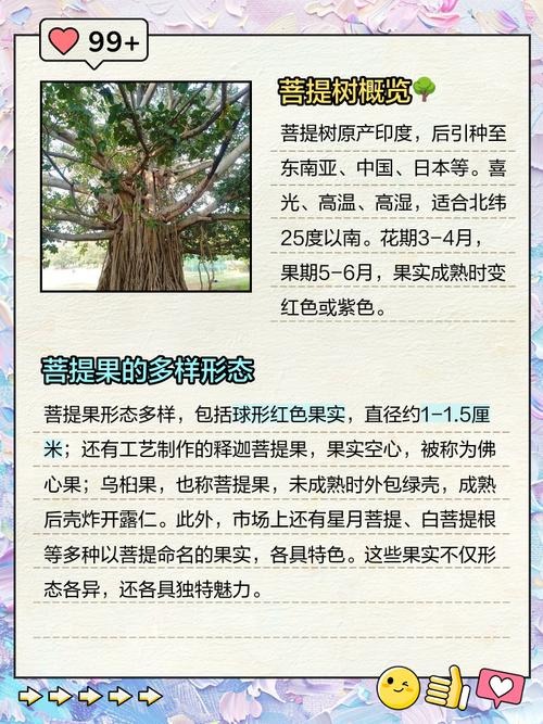 菩提树：文化象征与养护技巧解读