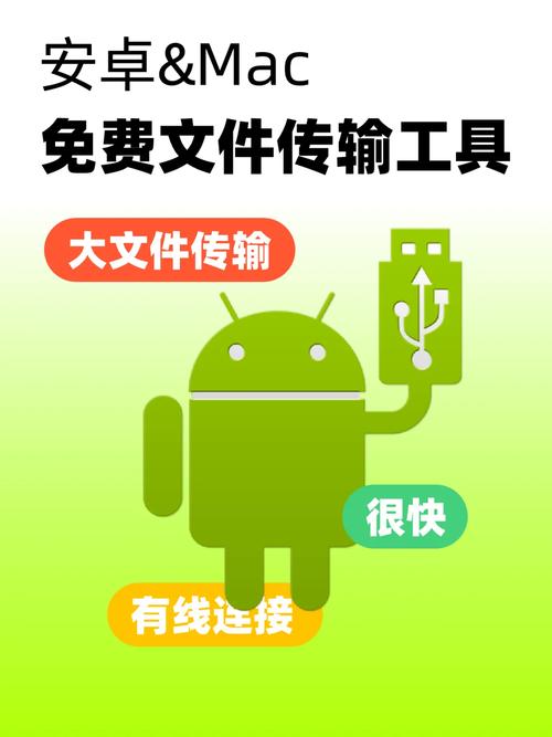 tgx安卓下载：轻松管理与分享文件的最佳工具