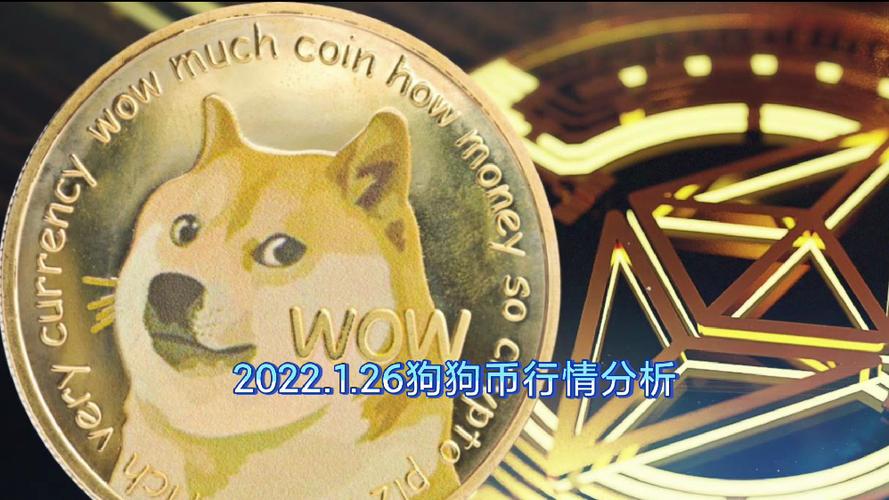 狗狗币今日价格分析：投资策略及风险评估全解析