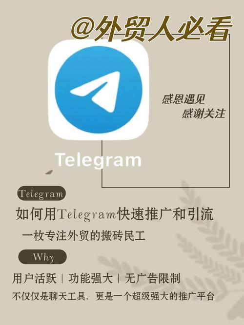 Telegram收费标准详解:免费与付费用户的区别及未来展望