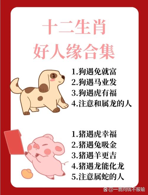 宁为鸡口打一生肖: 宁为鸡口最准确的生肖是什么