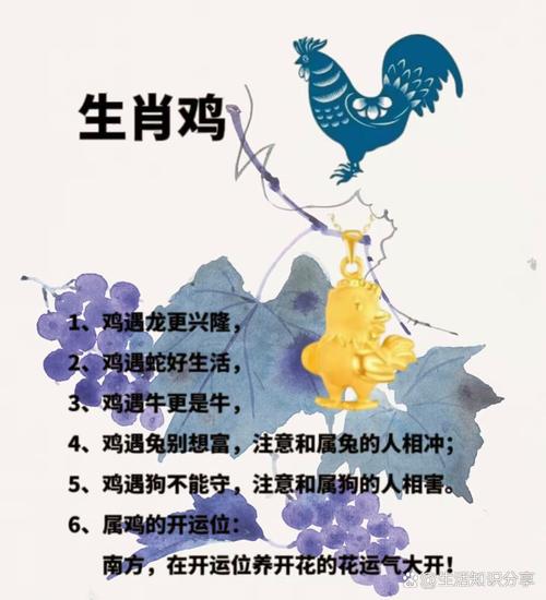 大街小巷四处走,富有回乡去务农打一个生肖的简单介绍