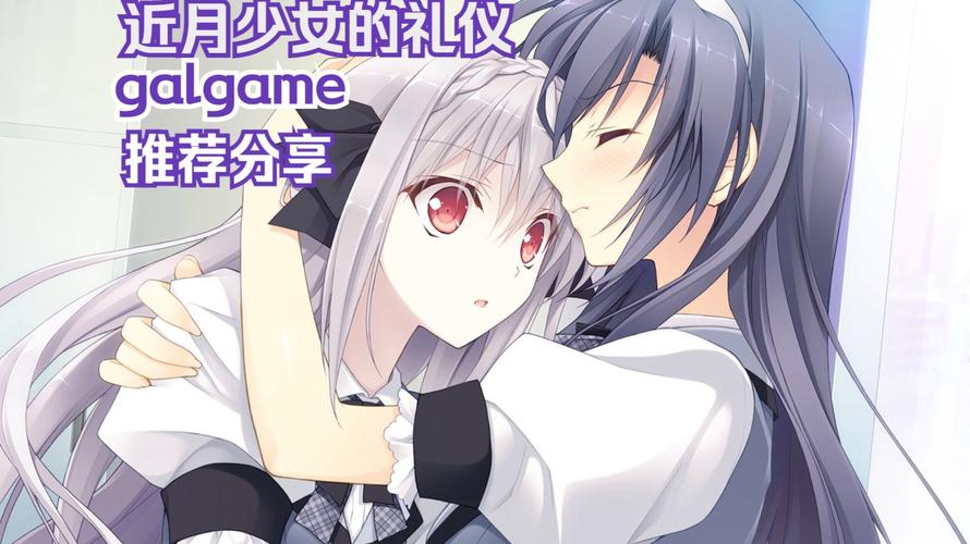 galgame游戏汉化教程: galgame汉化打开没反应