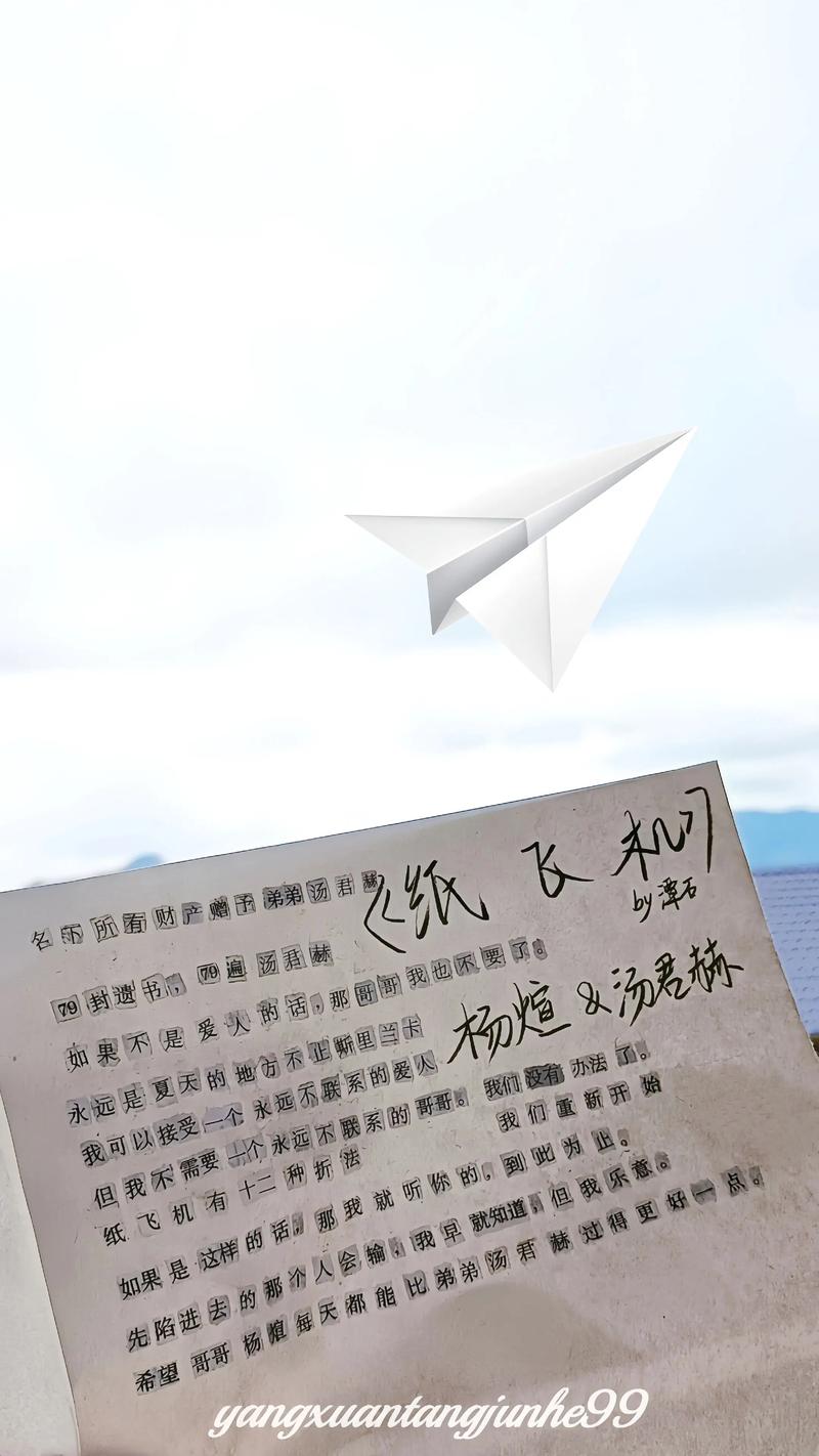 2025纸飞机代理ip免费: 2025纸飞机代理ip免费官网