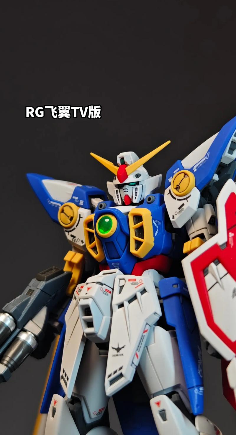 rg飞机: RG飞机是飞机吗