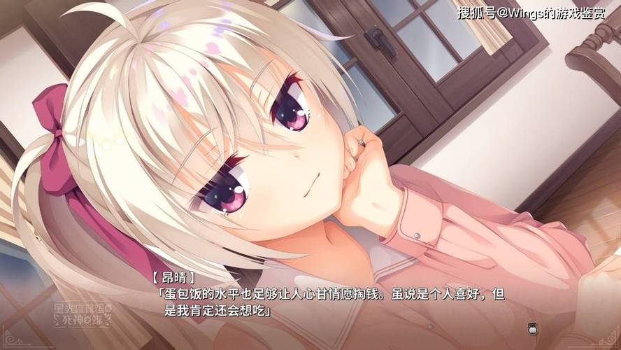 galgame安装教程视频: galgame怎么安装汉化补丁