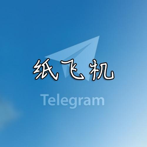 纸飞机中文版app: 纸飞机中文版1001版本