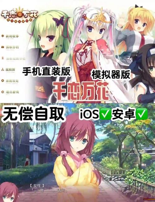 关于galgame安装包对应模拟器的信息