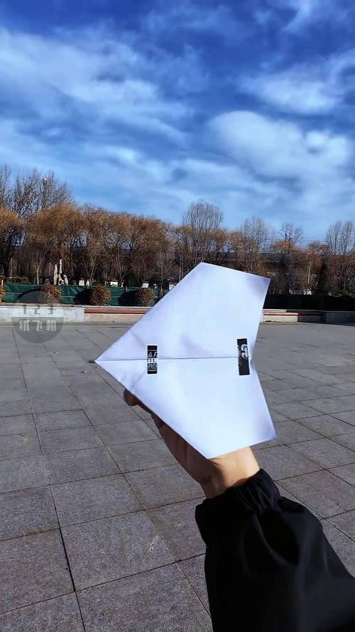 超帅的纸飞机又飞得远: 飞得又远又稳又帅的纸飞机