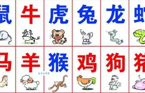 今期生肖守门庭指的是什么生肖: 今期生肖住门庭猜一生肖打一动物