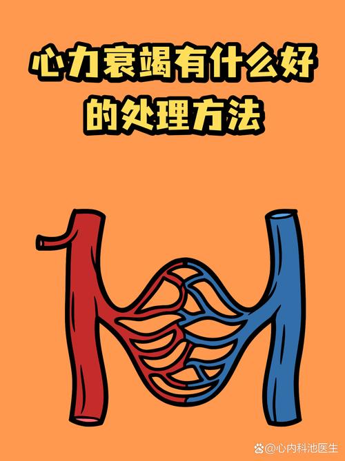 心长力弱打一动物: 心力不足是什么意思
