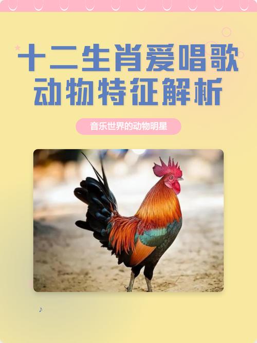 爱美的生肖是什么动物?: 十二生肖爱美的生肖是哪一个