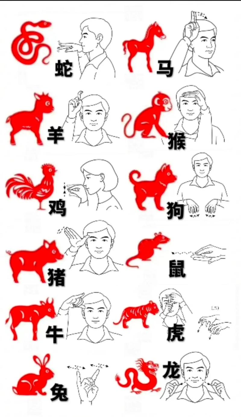 手指打一动物: 手指猜一只生肖