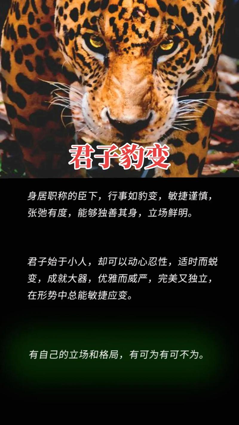 内外合一打一动物: 内外合一反映了什么观