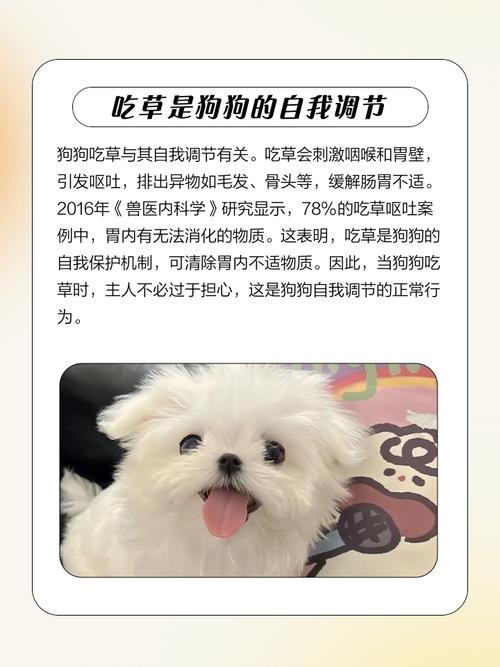 狗吃青草下一句: 狗吃青草是怎么回事