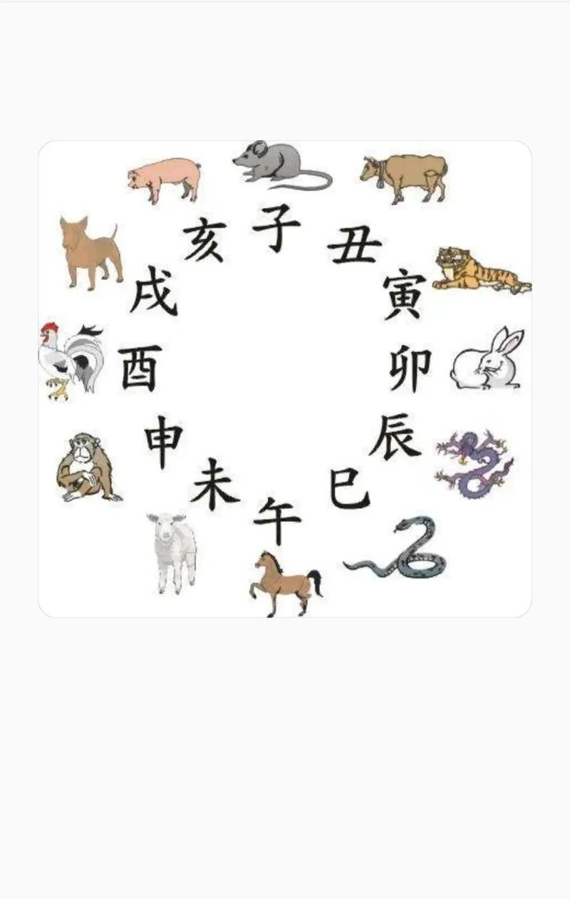 上下要相打一生肖: 上下相合不是假是什么生肖