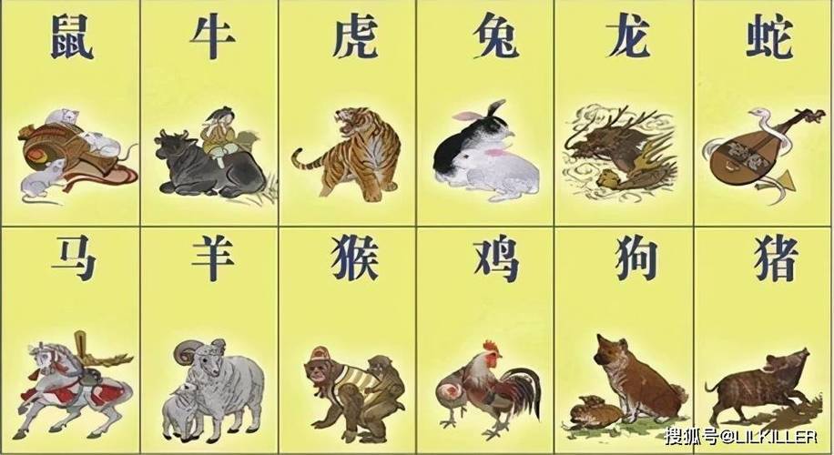 蛇鸡狗猪特马准确生肖: 蛇马猴鸡狗猜红是什么生肖,精选词语释义剖析