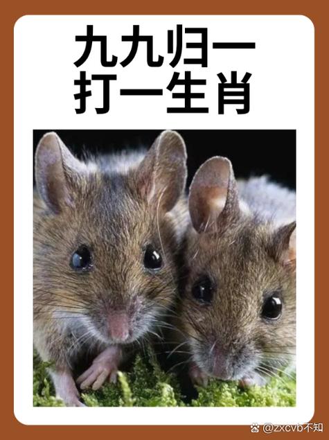 有打一生肖正确答案的简单介绍