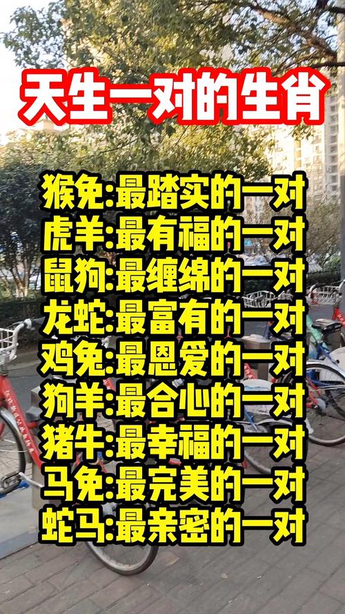 天生一对解一生肖: 天生一对生肖是什么肖,精选词语释义剖析