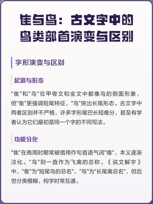 夥指什么生肖: 夥字代表啥动物,精选词语释义剖析
