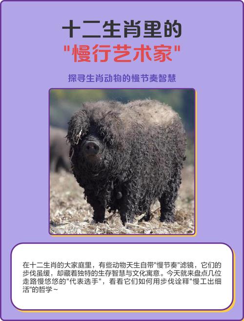哪个生肖走路摇摇摆摆: 十二生肖走路摇摆的动物,精选词语释义剖析