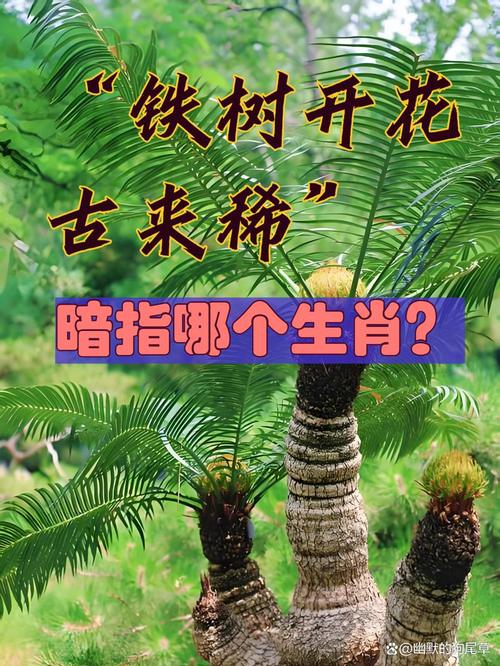 今期生肖开金花是什么生肖动物: 今期生肖开金花指的是什么生肖呢,精选词语释义剖析