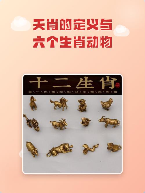 天肖是指哪6个生肖的: 天肖是指哪6个生肖的动物,精选词语释义剖析