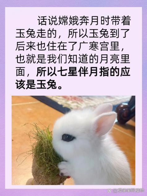 吴木结悲绪未发打一生肖: 吴木结悲绪未发是打一生肖,精选词语释义剖析