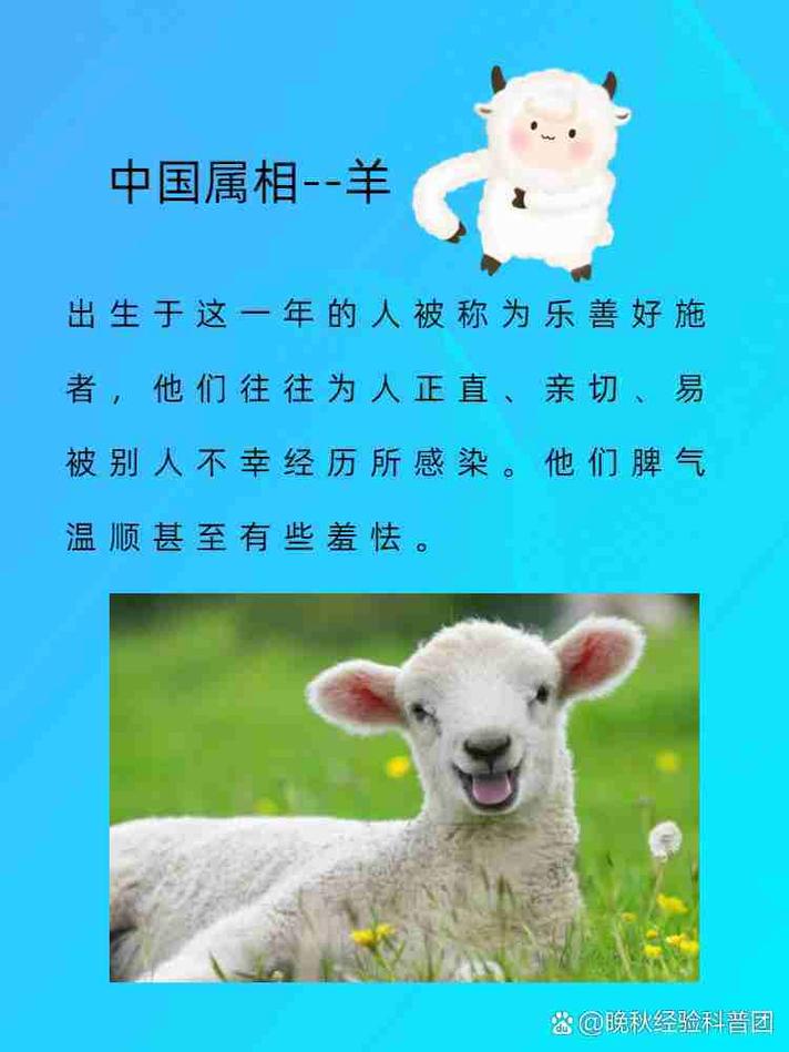 出了羊下期出什么生肖: 出羊后会出特打一准确动物,精选词语释义剖析