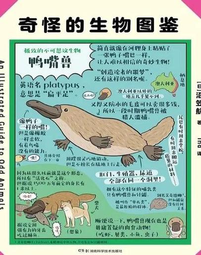 带你认识11种奇特的冷门动物: 带你认识11种奇特的冷门动物英语,精选词语释义剖析