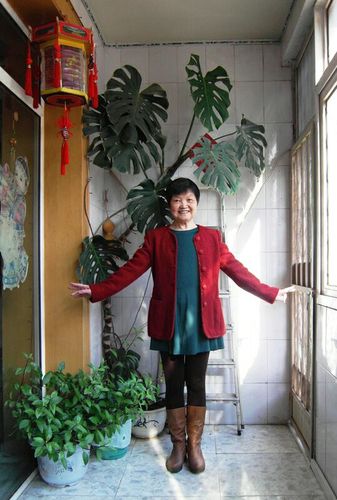 我美了美了: 歌曲我美了美了,精选词语释义剖析