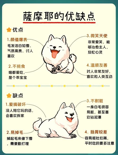 最爱美的狗是什么品种: 最爱美的狗是什么品种的,精选词语释义剖析