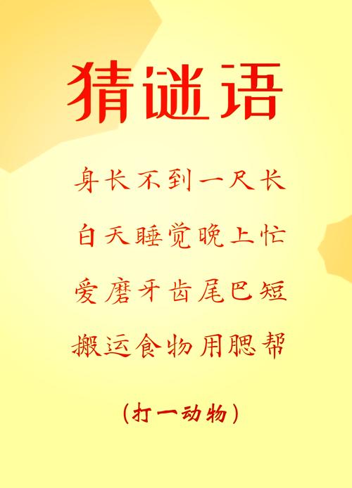 集中的字谜答案是什么: 井字谜还有哪些常见答案,精选词语释义剖析