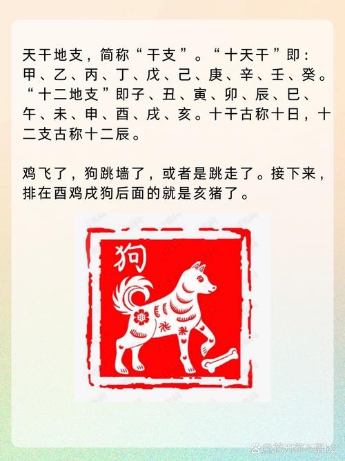 今期生肖九家头指什么生肖动物: 今期生肖九字头打一个正确生肖动物,精选词语释义剖析